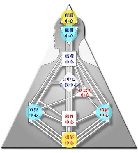 九大能量|什麼是人類圖？ 跟MBTI 有什麼不同？超詳細人類圖解。